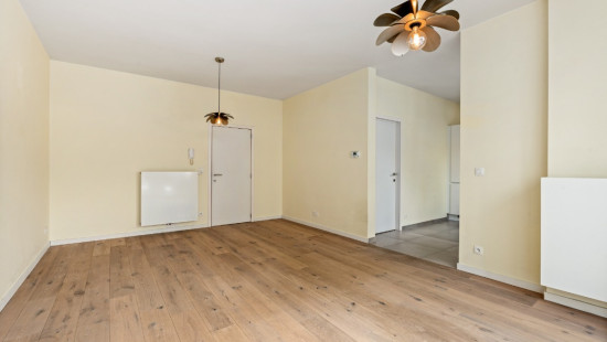 Dries - 13 - Bus 001 - 9170