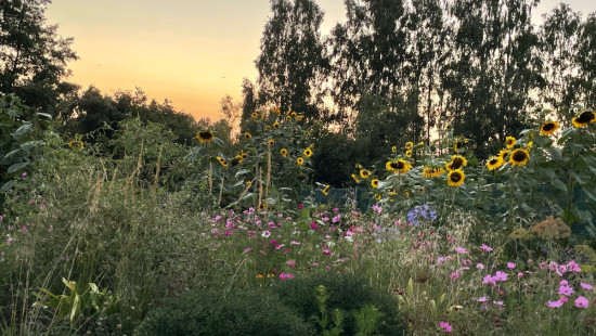 Rue Cyrille Bauwens - 39A - - 1390