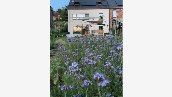 Rue Cyrille Bauwens - 39A - - 1390