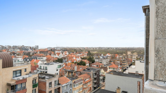 Zeelaan - 124 - 0801 - 8660