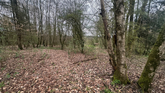 Rue de Liherin - 0 - - 5 - 6670