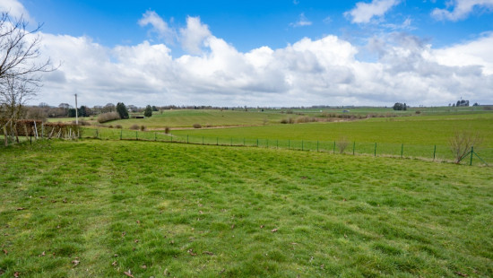 Chemin de Martelange - 6 - - 6640