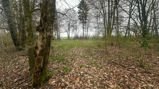 Rue de Liherin - 0 - - 5 - 6670