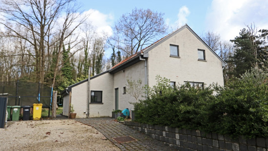 Kaaskorf - 35 - - 3390