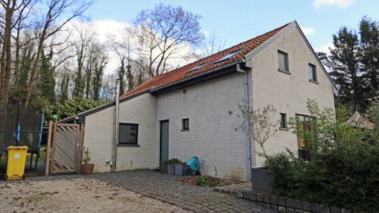 Kaaskorf - 35 - - 3390