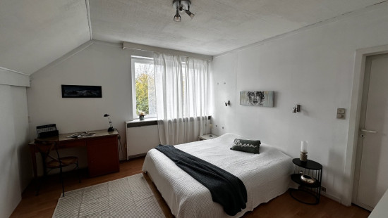 Zonnelaan - 9 - - 1860