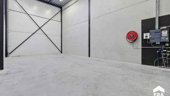 Nelekouter - 41 - 3.1 - 8800