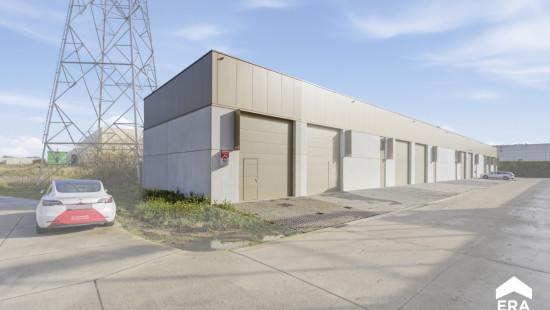 Nelekouter - 41 - 3.1 - 8800