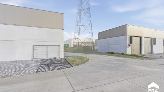 Nelekouter - 41 - 3.1 - 8800