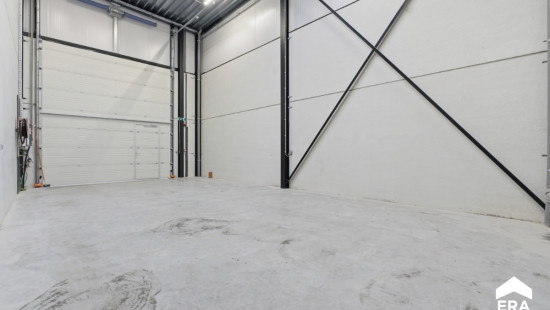 Nelekouter - 41 - 3.1 - 8800