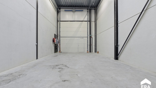 Nelekouter - 41 - 3.1 - 8800