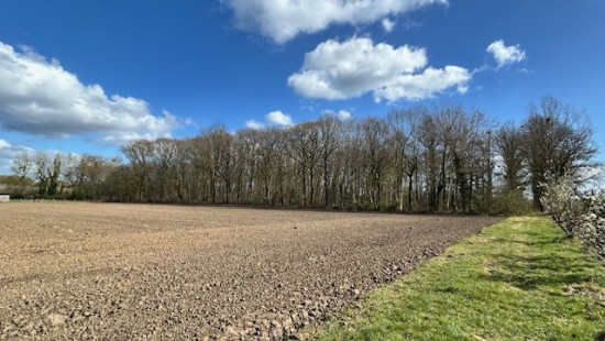 Gebrandhofstraat - z.n. - - 3545