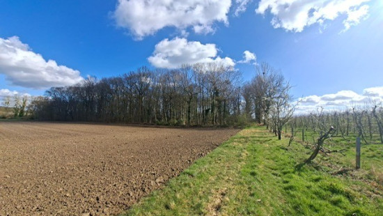 Gebrandhofstraat - z.n. - - 3545