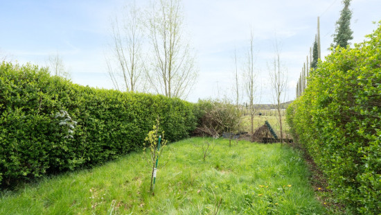 Koning Albertlaan - 12 - - 9140