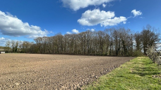 Gebrandhofstraat - z.n. - - 3545