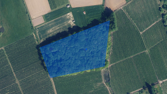 Gebrandhofstraat - z.n. - - 3545