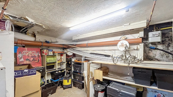 Avenue Reine Astrid - 65 - - 4500