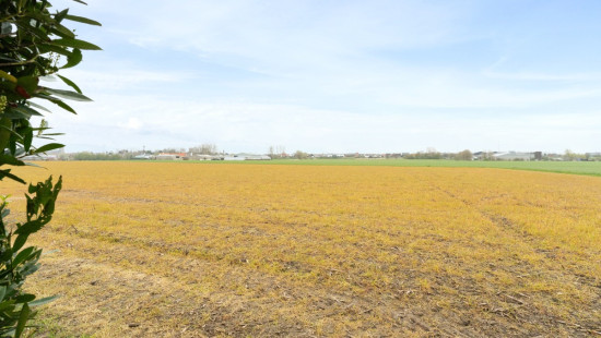 Vijvedreef - 52 - - 8710