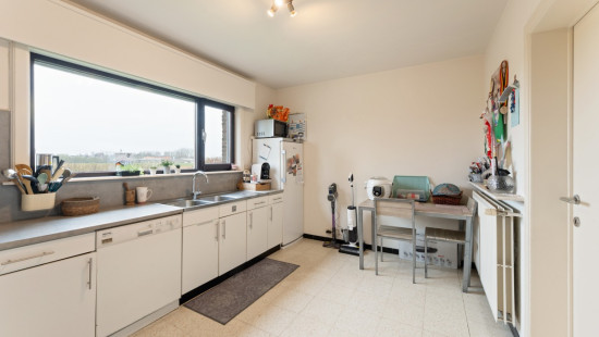 Vijvedreef - 52 - - 8710