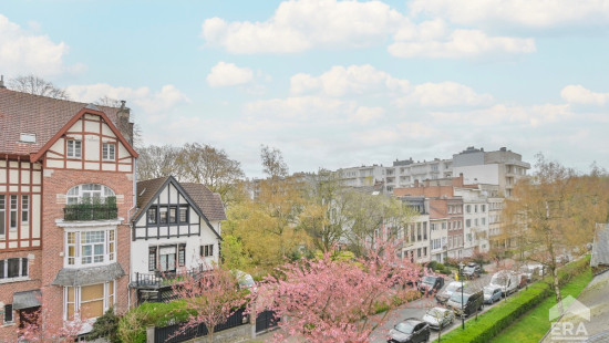 Avenue Brugmann - 294 - 3 - 1180