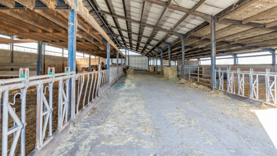 La croix minaux - 13 - - 6800