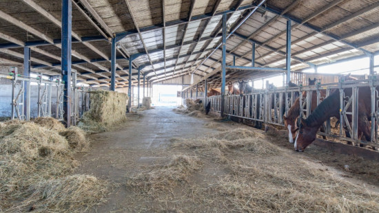 La croix minaux - 13 - - 6800