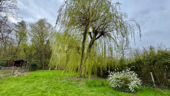 Molendreef - 25 - - 3090