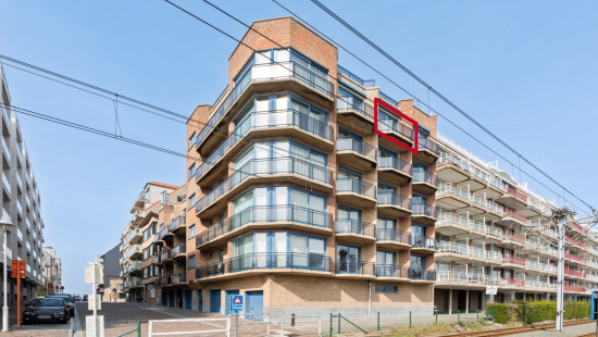 Goethalsstraat - 12 05.02 - Blauwvoet - 8620