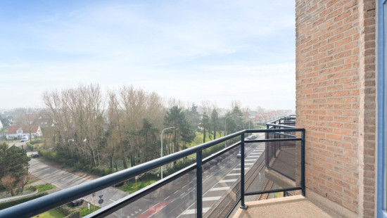 Goethalsstraat - 12 05.02 - Blauwvoet - 8620