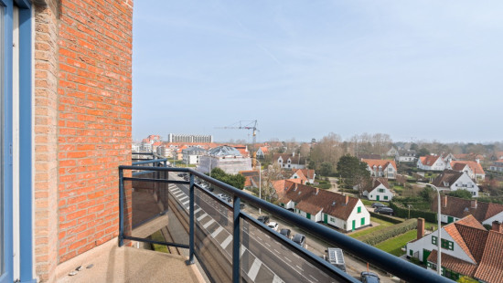 Goethalsstraat - 12 05.02 - Blauwvoet - 8620