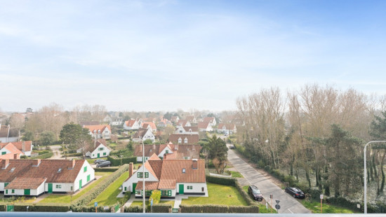 Goethalsstraat - 12 05.02 - Blauwvoet - 8620