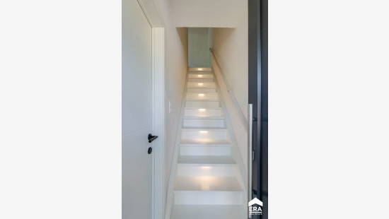 Wildrozenstraat - 36 - - 3530