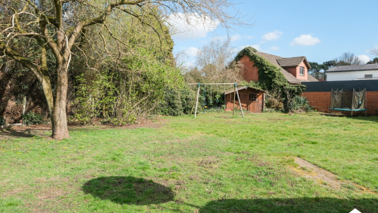 Hortensiastraat - 41 - - 3530