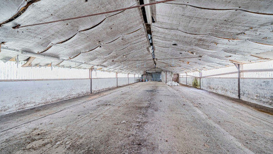 Rue Haute - 10 - - 6880