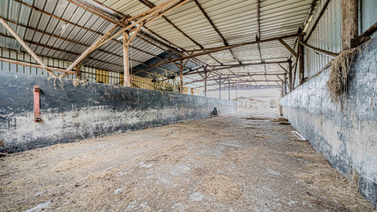 Rue Haute - 10 - - 6880