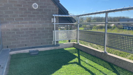 Wijngaardstraat - 18 - 2.1 - 3740