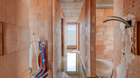 Panisdries - 4 - - Lot 45 - 3582