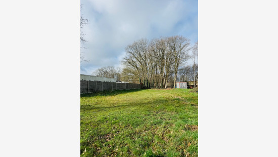 Spechtenstraat - 11 - - 3940