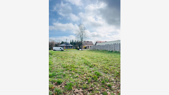 Spechtenstraat - 11 - - 3940