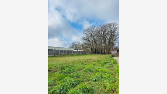 Spechtenstraat - 11 - - 3940