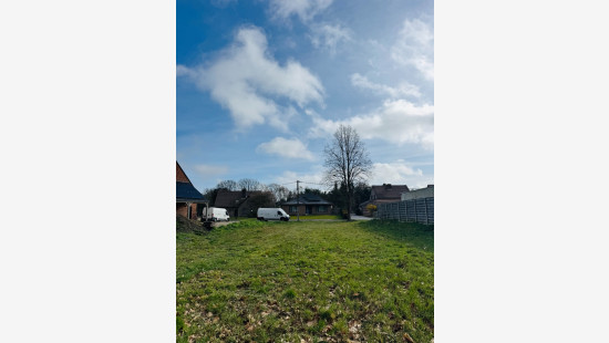 Spechtenstraat - 11 - - 3940