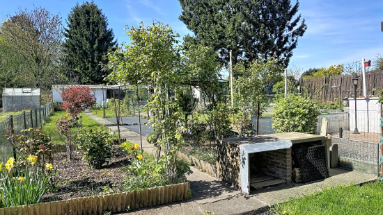 Rue des Français - 29 - - 4430