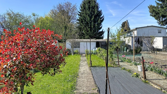 Rue des Français - 29 - - 4430