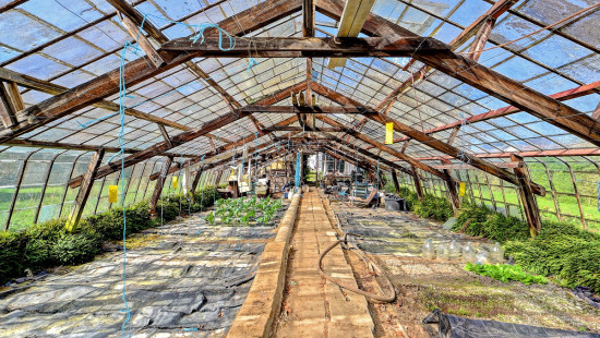 Jezus-Eiksesteenweg - 70 - - 1560