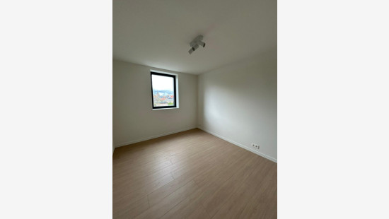 Bosdreef - 2 - P - 8650