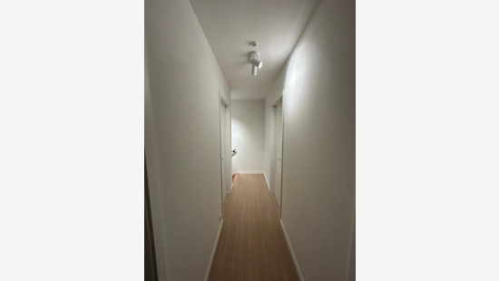 Bosdreef - 2 - P - 8650