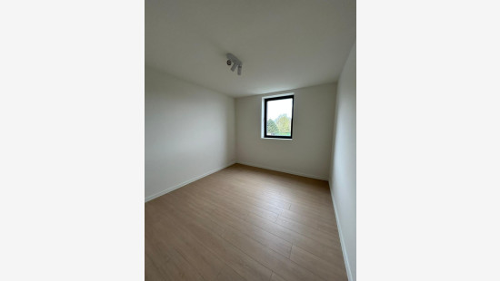 Bosdreef - 2 - P - 8650