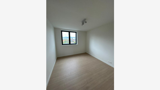 Bosdreef - 2 - P - 8650