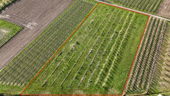 Egovenstraat - zn - - 3800