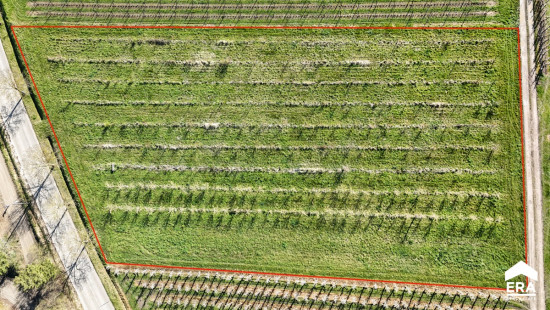 Egovenstraat - zn - - 3800